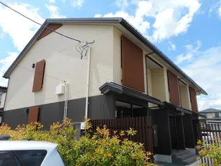 シャルマンの画像