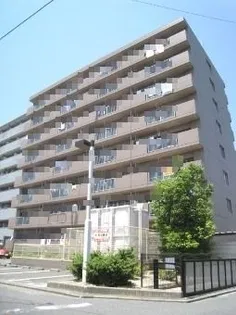 第3光ハイツの画像