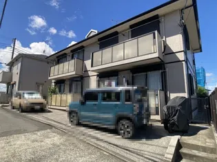 コーラルの画像