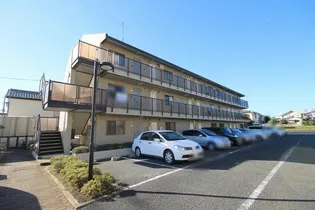 サープラス Aの画像