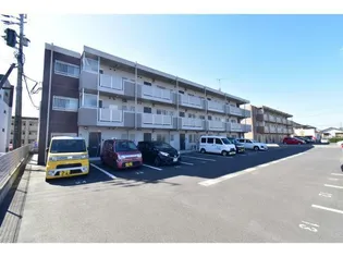 ファルコン寿の画像