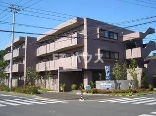 グリュックの画像