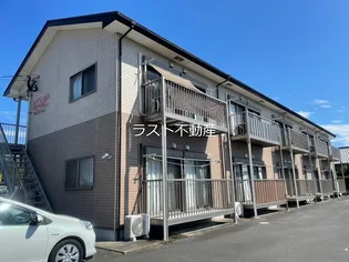 アンジェの画像