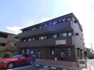 ルピナスの画像