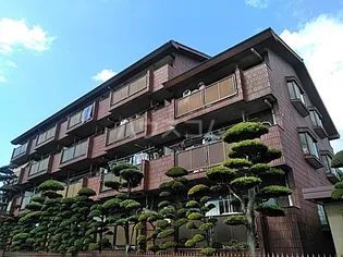 エクセレント丸太の画像