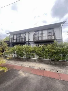 ラークイトウの画像