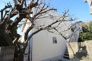 サンライズハイツ【1階】の外観