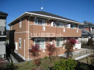 プリムローズTKの画像