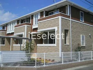 デイジーの画像