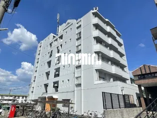 グリーン藤の画像