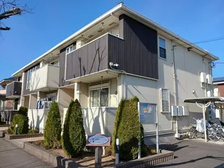 エムペソリーナ アンの画像