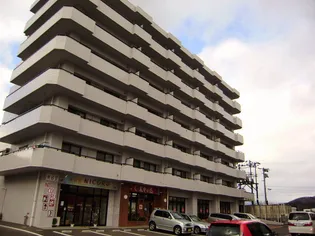 ウェルステージ丸浩壱番館の画像