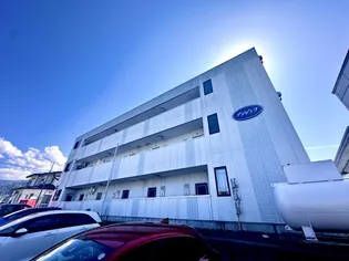 アンジェラの画像