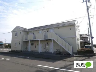 ドリームスターの画像