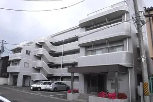 マドレーヌセゾンの画像