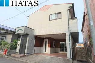 グリーンピュアの画像