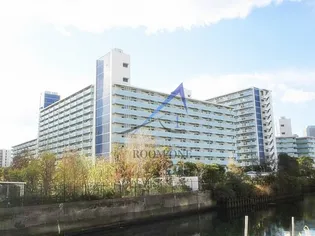 越中島三丁目ハイツ1号棟の画像