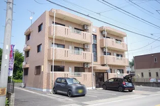 Y&MドリームIIの画像