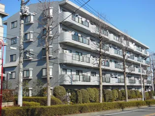 エクシアハイツ【4階】の外観