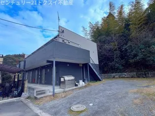 セレーナ佐倉の画像