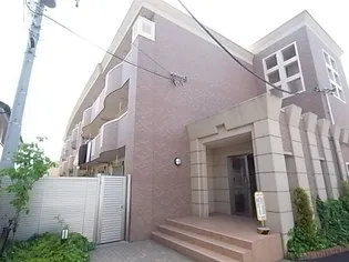 MS柏の葉の画像