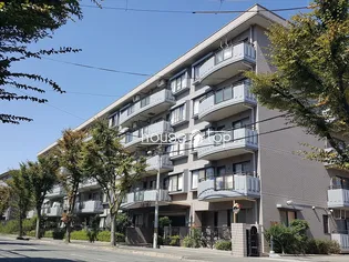 ドルチェ甲子園の画像