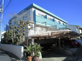 チェスハイツの画像