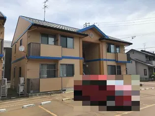 オプチマムDの画像