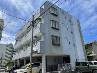 プレーンコートの画像