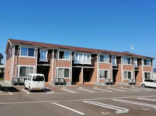 アミ グレイスIIの画像