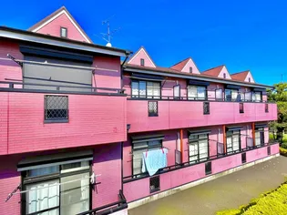 デルニエワコーIの画像