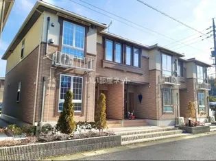 マリーゴールド Aの画像