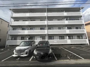 ランプリ築山の画像