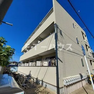 ELUA ANELAの画像
