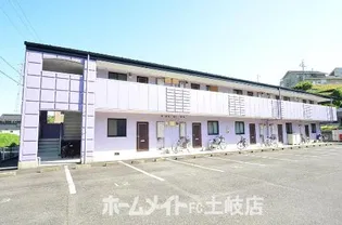 ピアパープルの画像