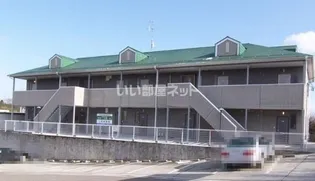 グリーンパールの画像