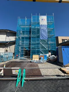 メープルの画像