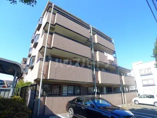 アムールの画像