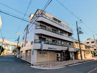 大阪府大阪市平野区背戸口5【マンション】の外観