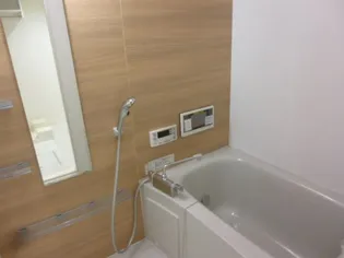 ラルーチェ城山【2階】の風呂