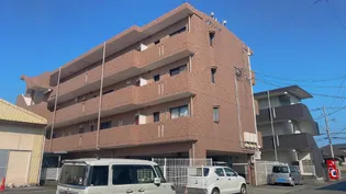 グラッツィエの画像