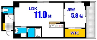ウイングコート大州通り【5階】の間取り