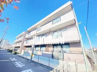 スターハイツみなみの画像