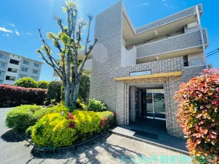 スパージ月出の画像