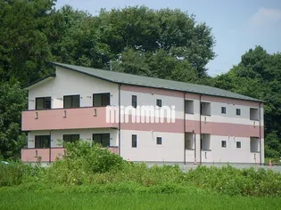 メゾンピッコロの画像