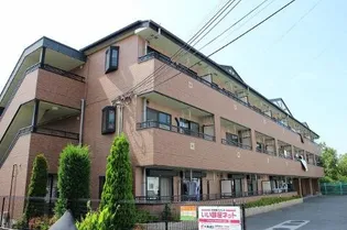 サンライズ フジの画像