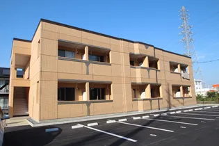 シェルルききょうの画像