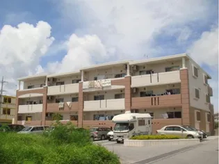 グレイスフル ひかりの画像