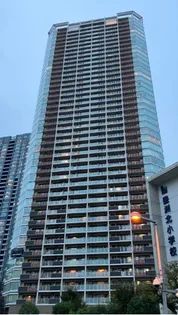 ザ 豊洲タワーの画像