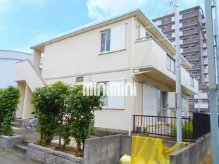 カンパニュラの画像